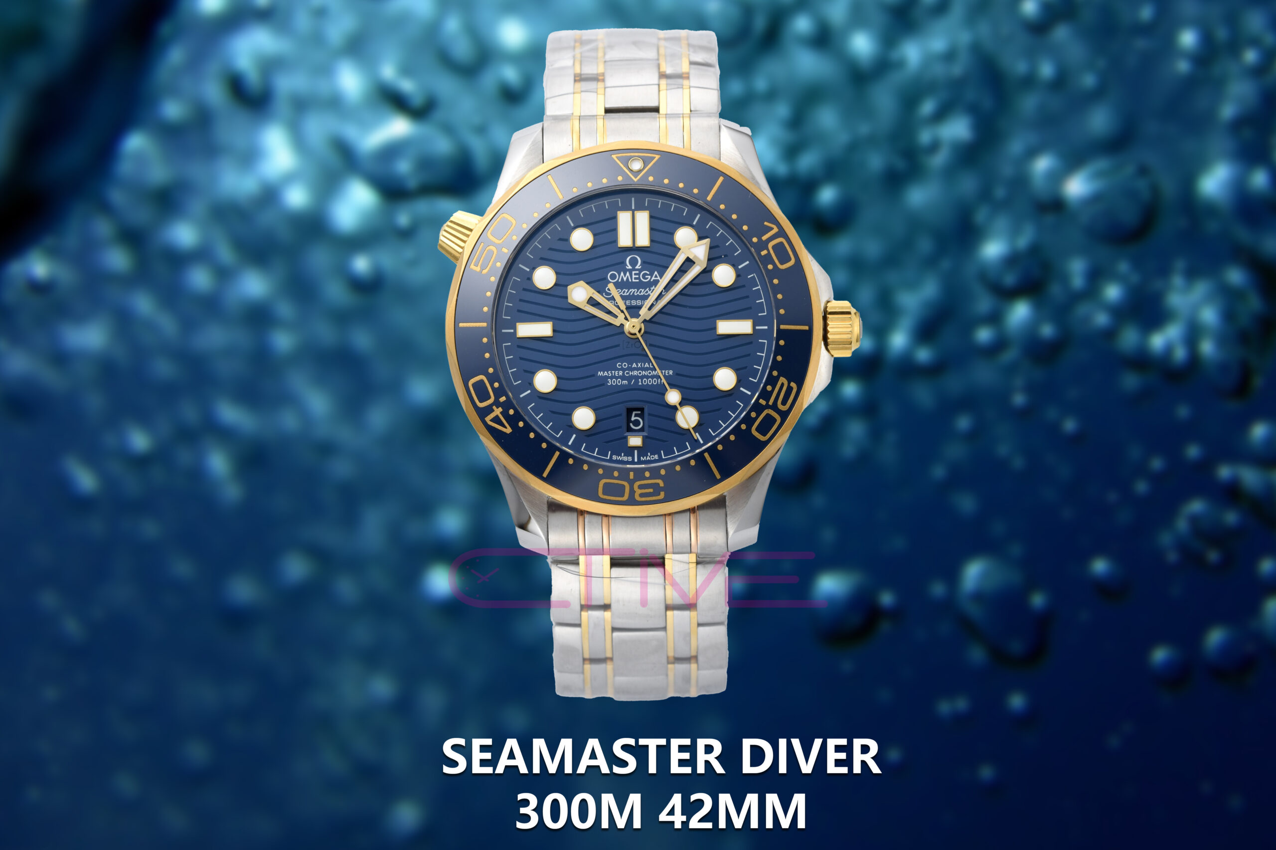 Seamaster Diver 300M 42mm SS/YG VSF 1:1 Best Edition YG Bezel Blue Dial on SS/YG Bracelet A8800