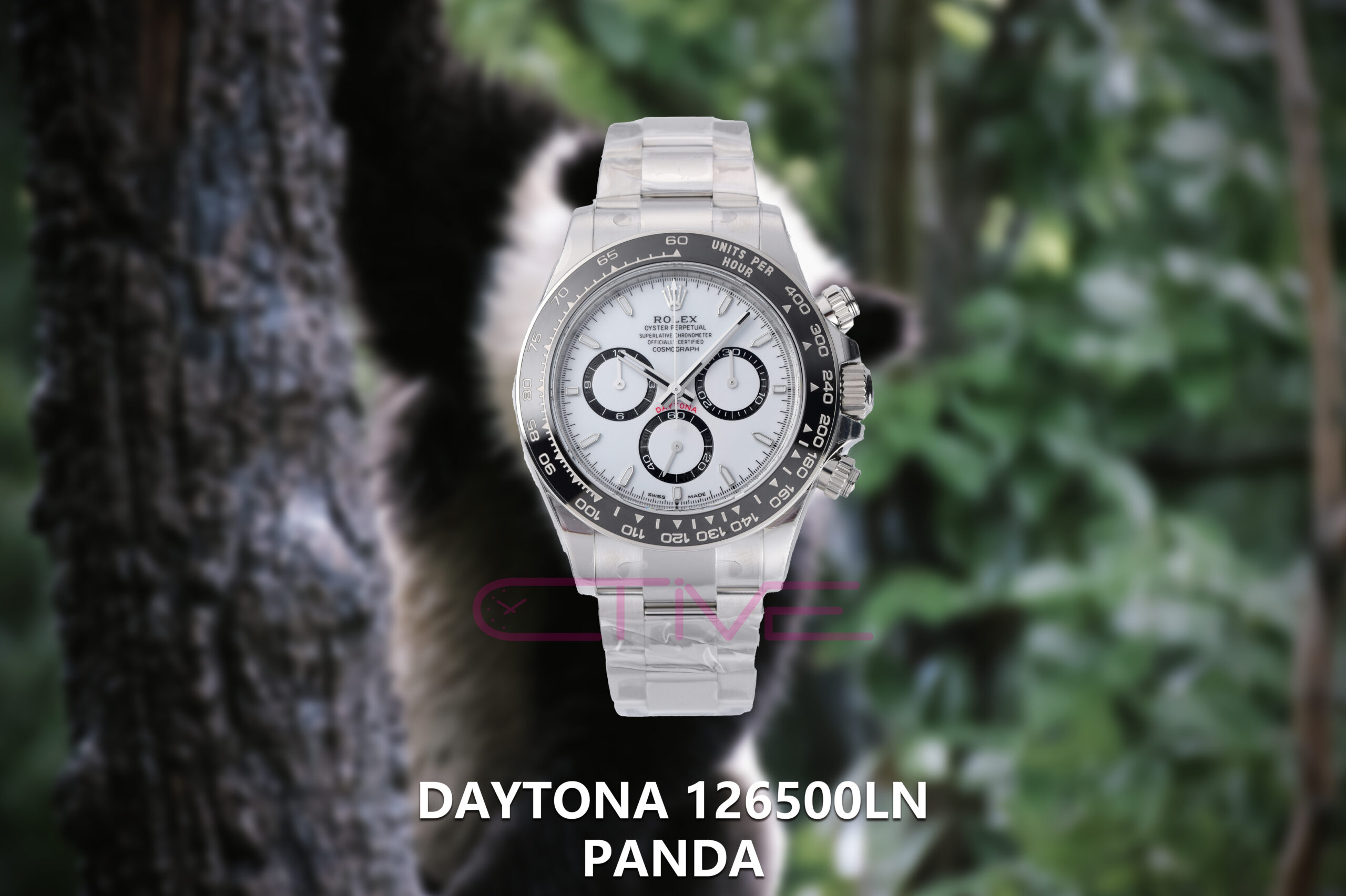 Daytona 126500LN Panda VSF/SBF 904L SS Case and Bracelet White Dial DD4802